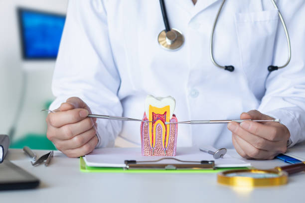 Best Pediatric Emergency Dentist in Cleveland, FL